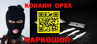 крисы Моздок