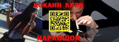 крисы Моздок