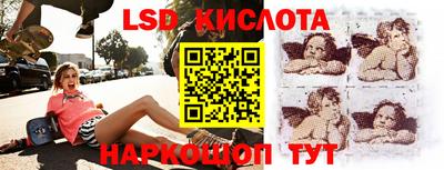 крисы Моздок