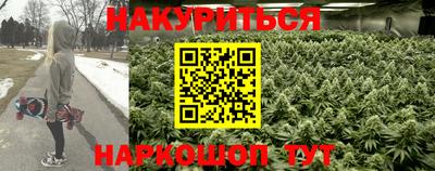 стаф Можга