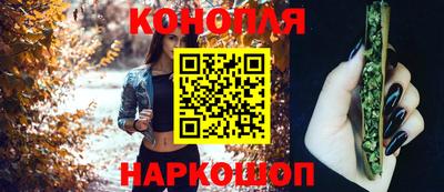 стаф Можга