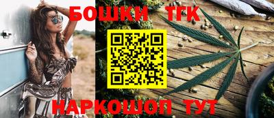 крисы Моздок