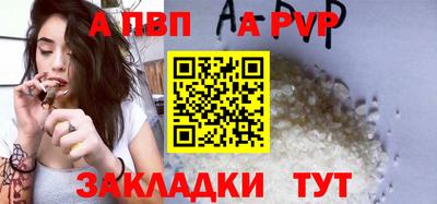 стаф Можга
