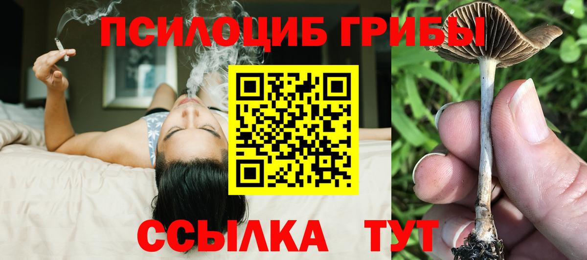 Галлюциногенные грибы Psilocybine cubensis  Вход с VPN  Ухта 